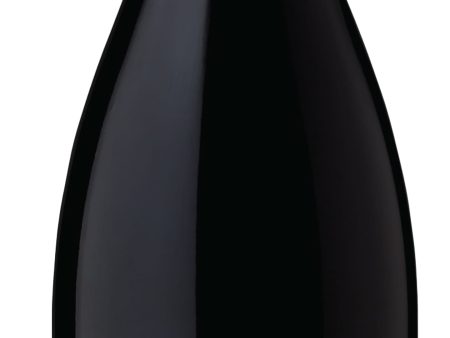 BOEN PINOT NOIR RUSSIAN RIVER VALLEY 2020 For Discount