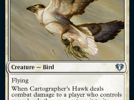 Cartographer s Hawk [Commander Masters] Online Sale