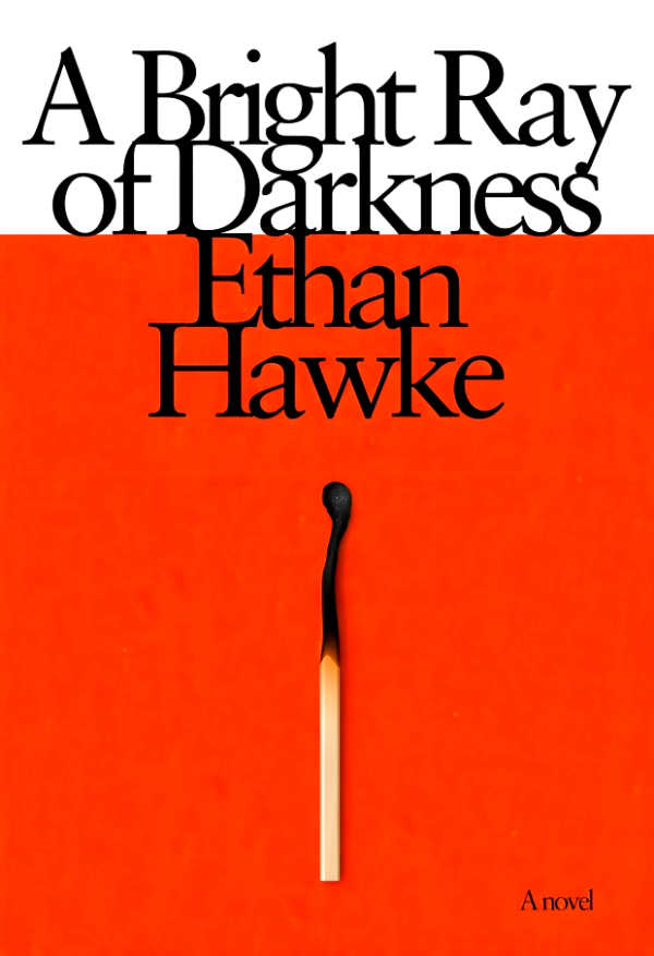 A Bright Ray of Darkness: A novel Online Hot Sale