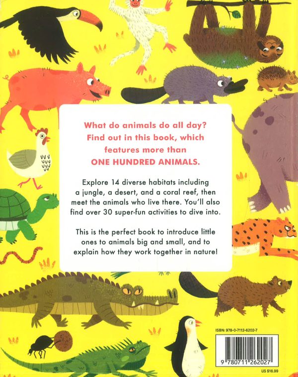 What Do Animals Do All Day  - Activity Book Fashion