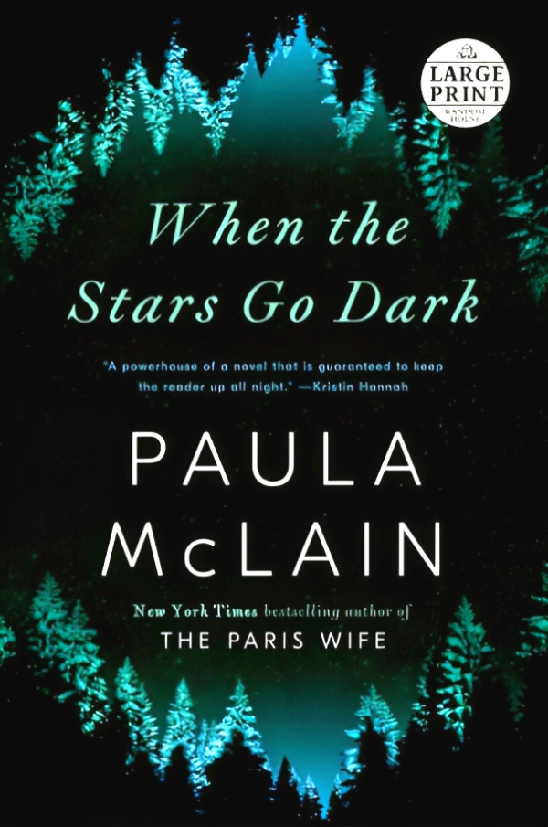 When the Stars Go Dark: A Novel Online Hot Sale